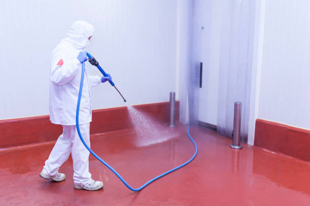Best Roof Washing  in Roberts, WI